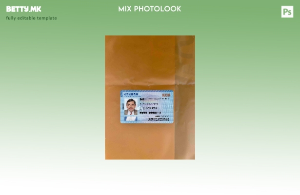 Модерен стил, шаблон за регистрација на вонземјани од Јужна Кореја (ARC) шаблон 